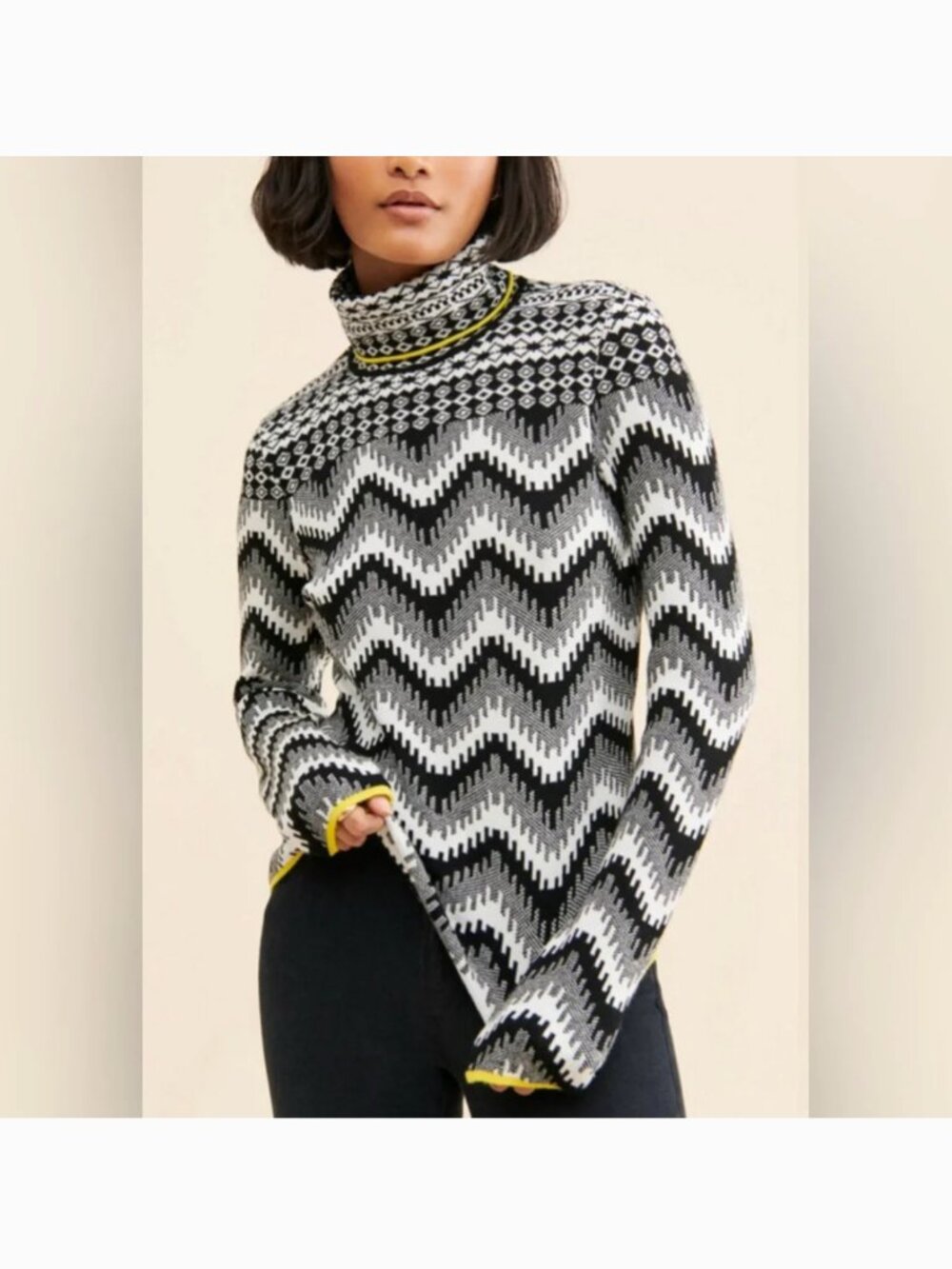 Anthropologie NWOT Ski Slope Turtleneck Sweater.